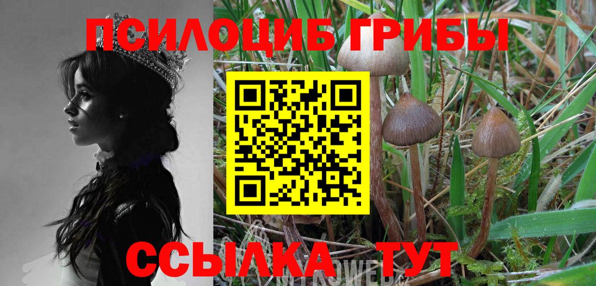 Псилоцибиновые грибы мухоморы  Вход с VPN  Жигулёвск 