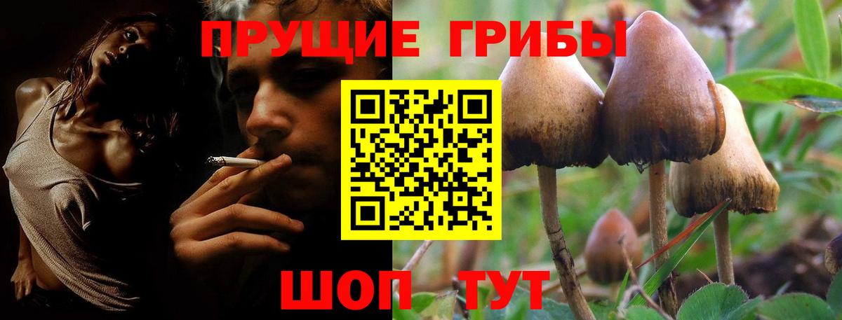 Псилоцибиновые грибы MAGIC MUSHROOMS Жигулёвск